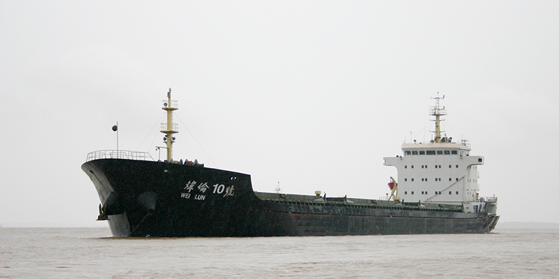 8000 T Bulk Carrier - WEI LUN 10